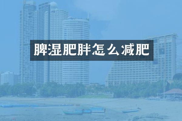 脾湿肥胖怎么减肥