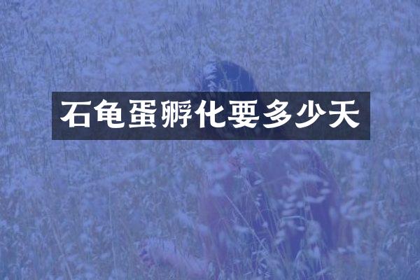 石龟蛋孵化要多少天