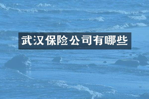 武汉保险公司有哪些