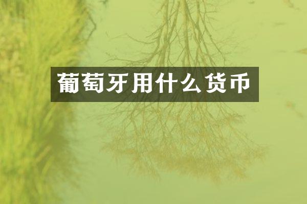 葡萄牙用什么货币