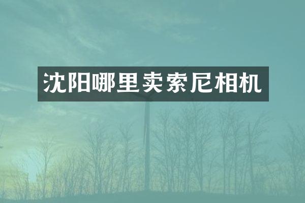 沈阳哪里卖索尼相机