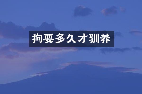 狗要多久才驯养