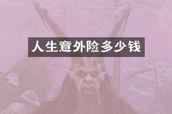 人生意外险多少钱