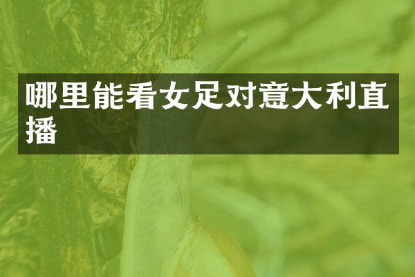 哪里能看女足对意大利直播