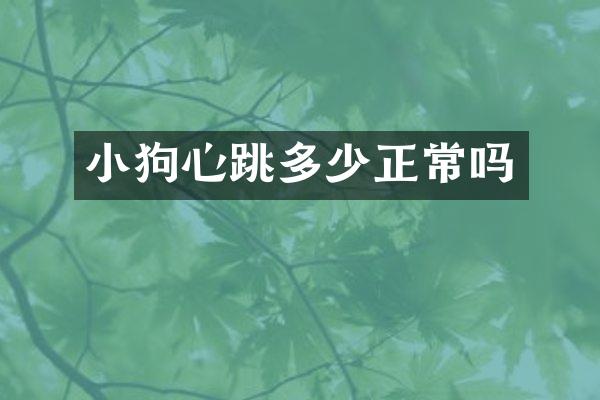 小狗心跳多少正常吗