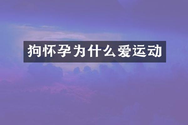 狗怀孕为什么爱运动