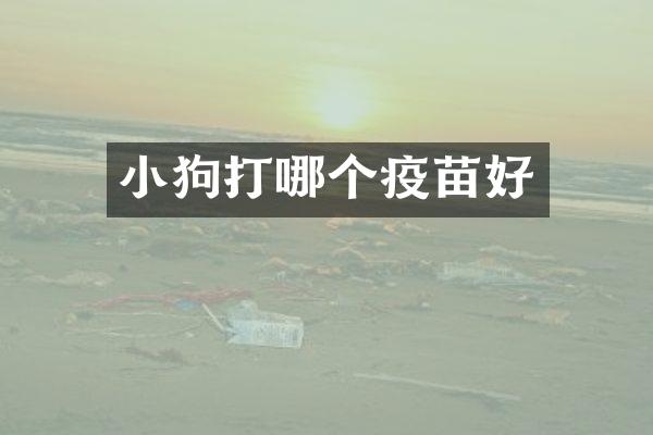 小狗打哪个疫苗好