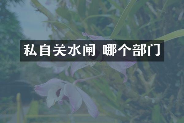 私自关水闸 哪个部门