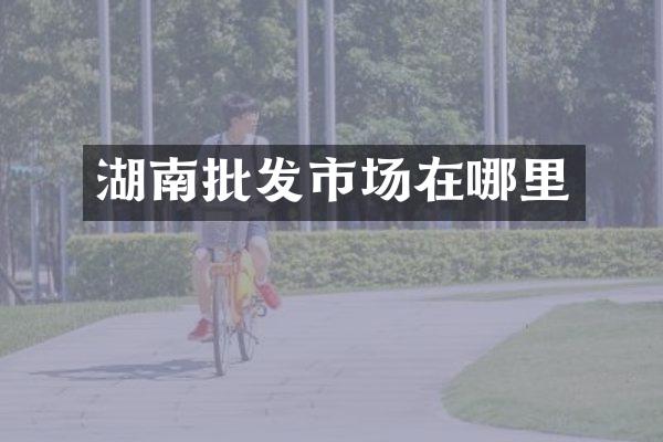 湖南批发市场在哪里