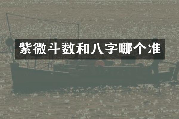 紫微斗数和八字哪个准