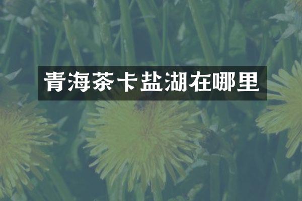 青海茶卡盐湖在哪里