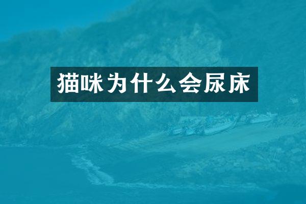 猫咪为什么会尿床