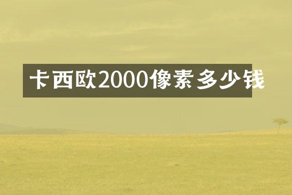 卡西欧2000像素多少钱