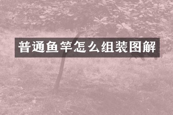 普通鱼竿怎么组装图解