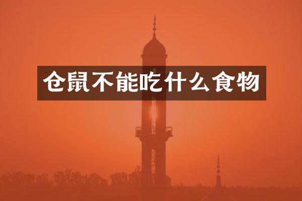 仓鼠不能吃什么食物