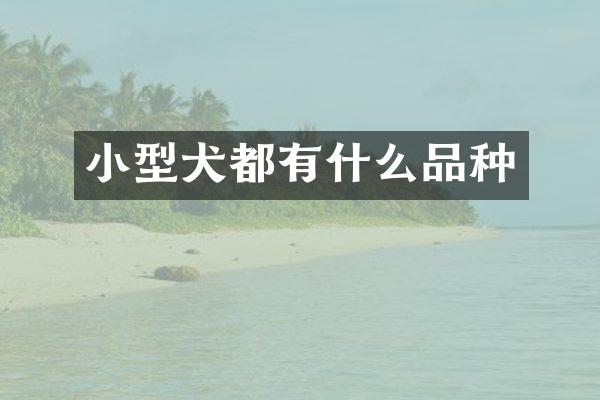 小型犬都有什么品种