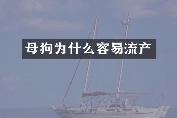 母狗为什么容易流产