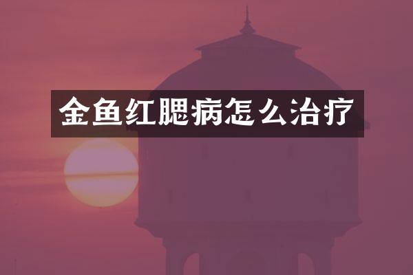 金鱼红腮病怎么治疗
