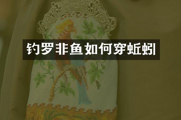 钓罗非鱼如何穿蚯蚓