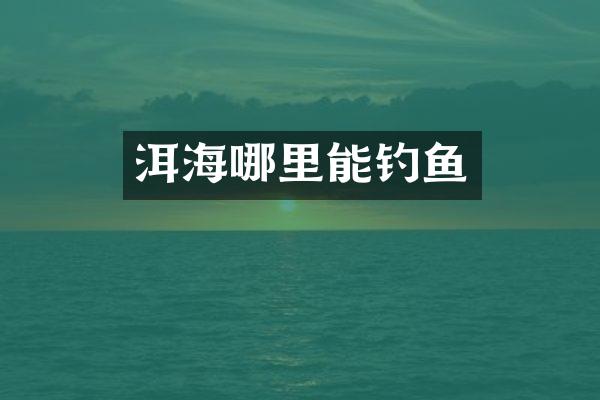 洱海哪里能钓鱼
