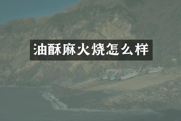 油酥麻火烧怎么样