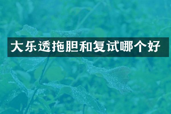 大乐透拖胆和复试哪个好