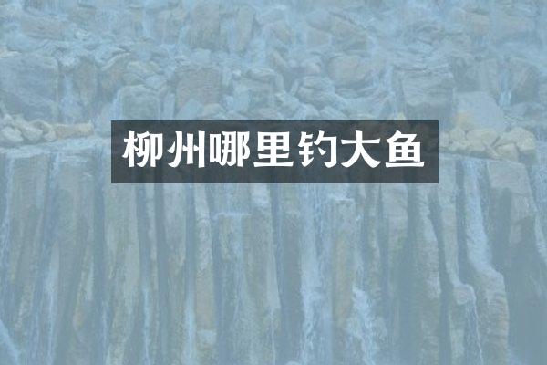 柳州哪里钓大鱼