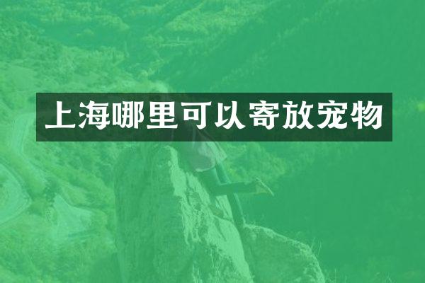 上海哪里可以寄放宠物
