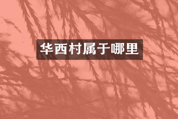 华西村属于哪里