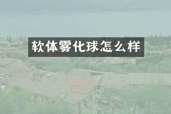 软体雾化球怎么样