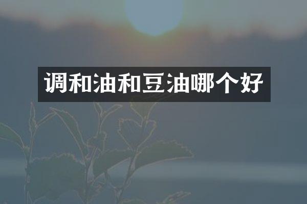调和油和豆油哪个好
