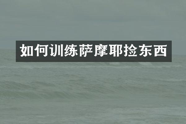 如何训练萨摩耶捡东西