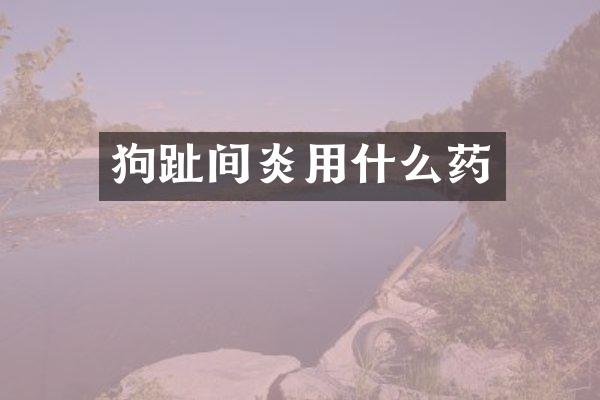 狗趾间炎用什么药