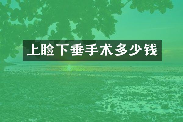 上睑下垂手术多少钱