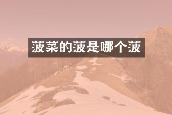 菠菜的菠是哪个菠