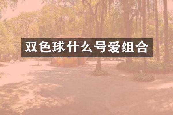 双色球什么号爱组合