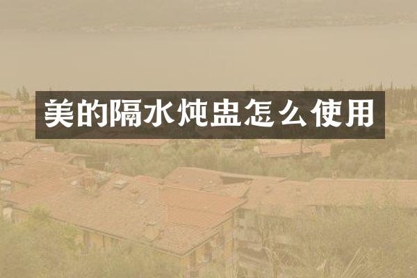 美的隔水炖盅怎么使用