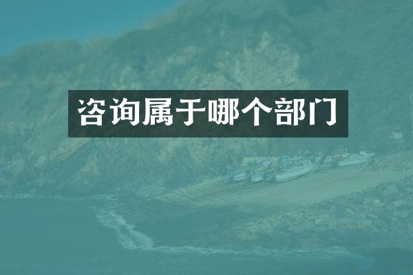 咨询属于哪个部门