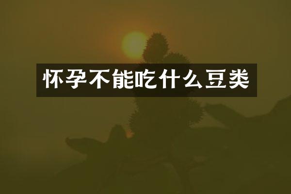 怀孕不能吃什么豆类