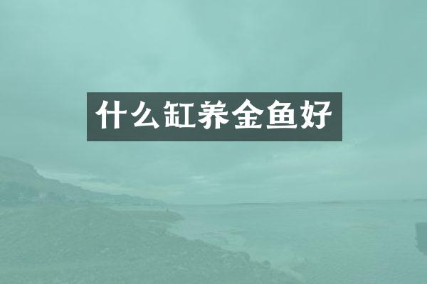 什么缸养金鱼好