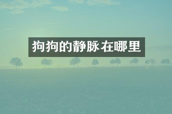 狗狗的静脉在哪里