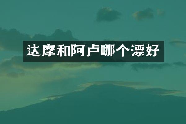 达摩和阿卢哪个漂好
