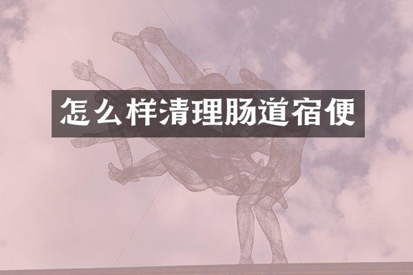 怎么样清理肠道宿便