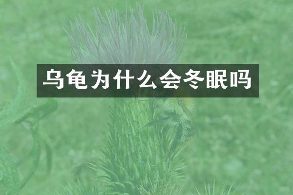 乌龟为什么会冬眠吗