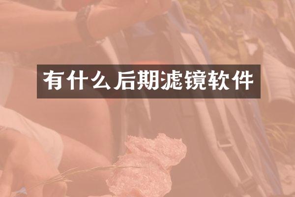 有什么后期滤镜软件