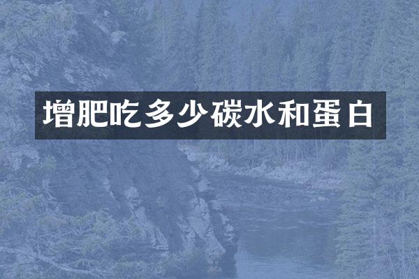 增肥吃多少碳水和蛋白