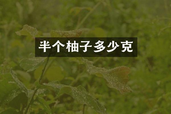 半个柚子多少克