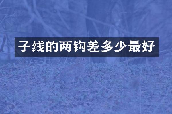 子线的两钩差多少最好