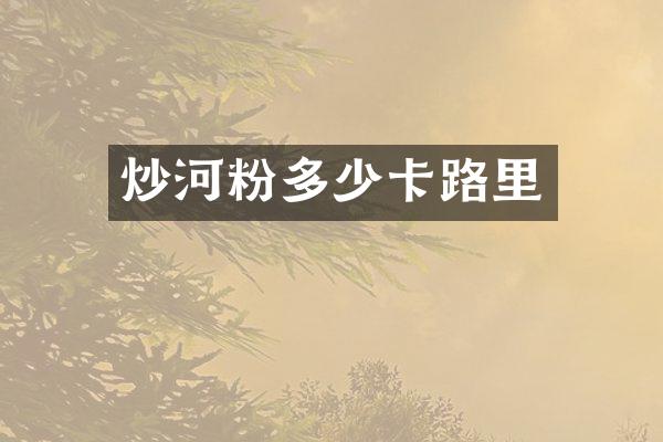 炒河粉多少卡路里