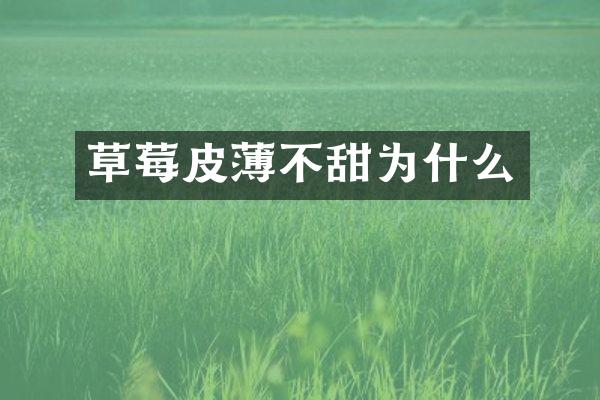 草莓皮薄不甜为什么